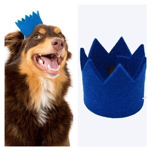 NIB MODERNBEAST Party Beast Crown for Pets